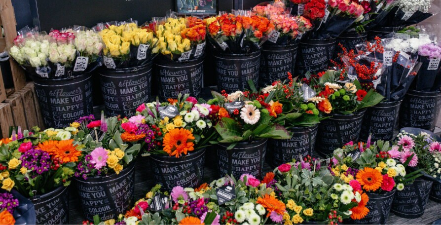 Verkaufsmitarbeiter (m/w/d) Blumen & Pflanzen 25-30 Std., 1. Bild